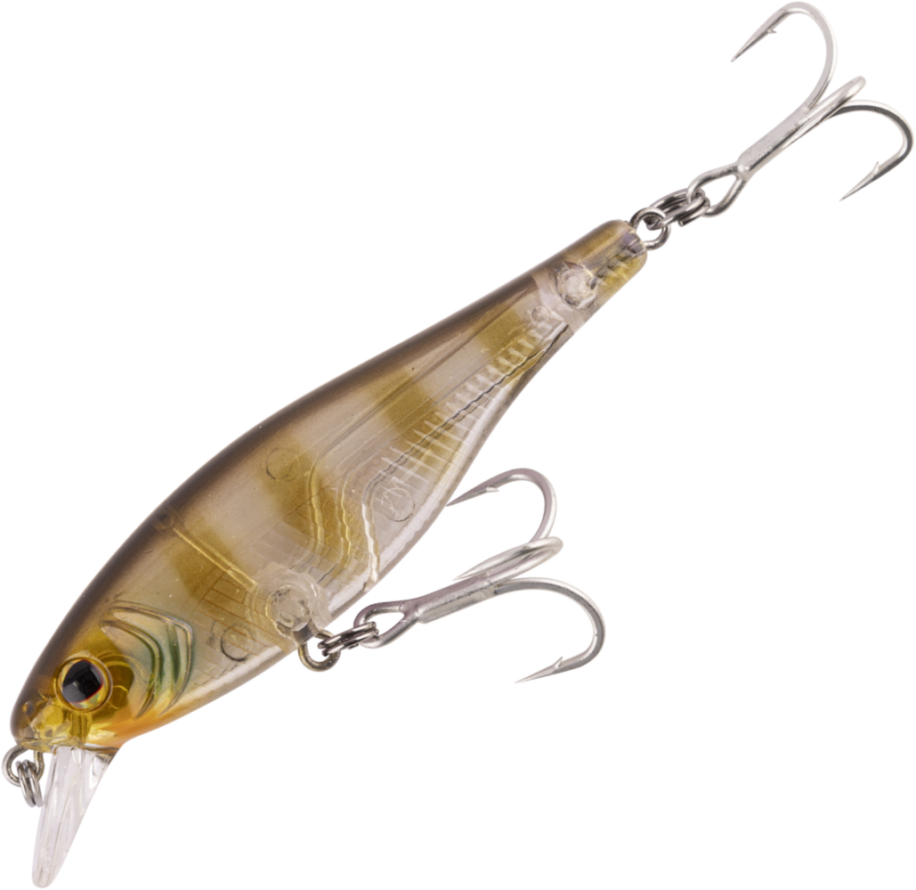 BERKLEY PROTECH BAZZ BAIT LURE 80mm SHALLOW