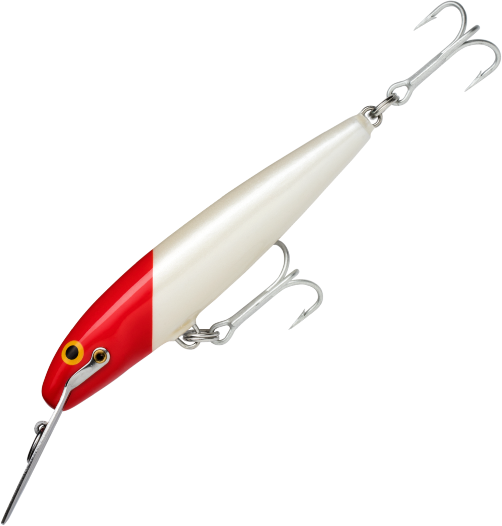 RAPALA MAGNUM COUNTDOWN SINKING LURE 22cm