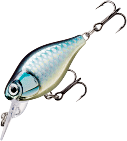 RAPALA X-RAP LONG CAST LURE - 12CM