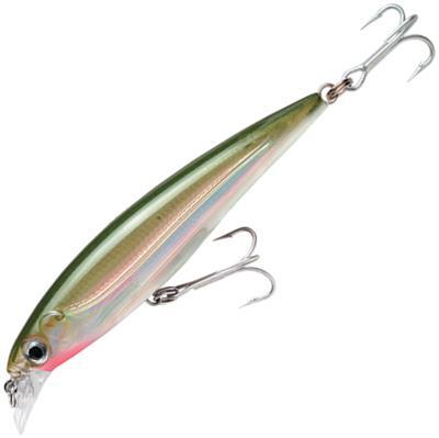 RAPALA X-RAP SALTWATER SXR8 LURE