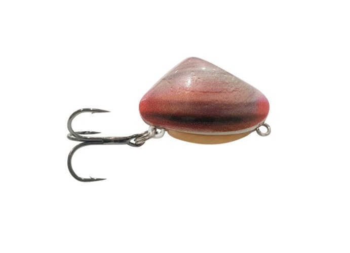 Asakura Clamer Hard Pipi Mussel Lure 30mm – Anglerpower Fishing Tackle