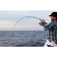 N.S EXPLORER SPIN ROD