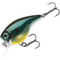 RAPALA BX BRAT 6FT LURE