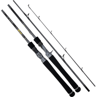 DAIWA 23 TD HYPER BAITCAST ROD