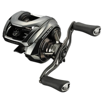 DAIWA 24 STEEZ SV TW BAITCAST REEL