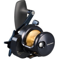 DAIWA 25 SALTIGA 10H OVERHEAD REEL