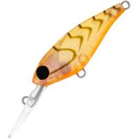 DAIWA INFEET KODACHI 40 SF LURE