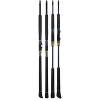 DAIWA SALTIGA EXPEDITION TRAVEL ROD