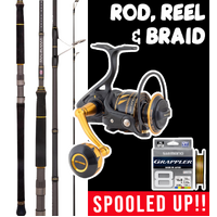 PENN PE4 KING &amp; AJ SLAYER ROD &amp; REEL COMBO