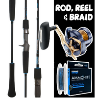 DAIWA TANACOM ELECTRIC REEL & SALTIST ROD COMBO