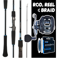 DAIWA TANACOM ELECTRIC REEL & SALTIST ROD COMBO