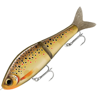RAPALA SUPER SHADOW RAP GLIDE LURE 11cm