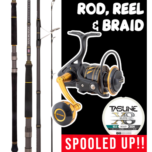 PENN PE5 BOTTOM BASHER ROD & REEL COMBO